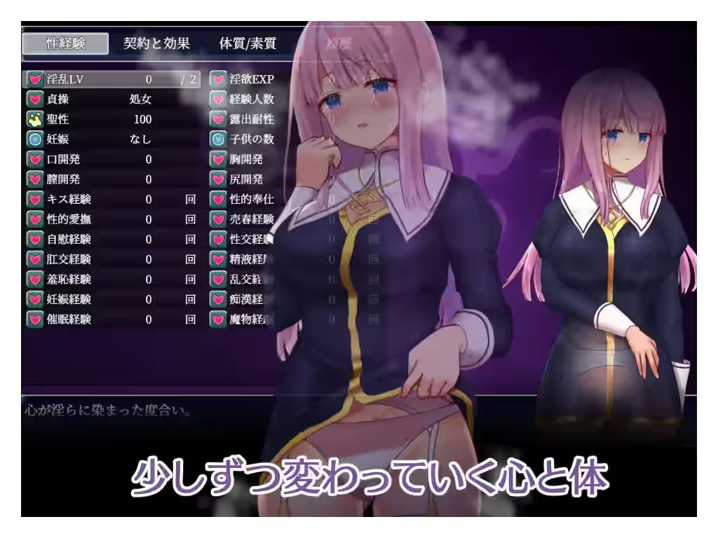 艾妮西娅与契约纹章 截图 3