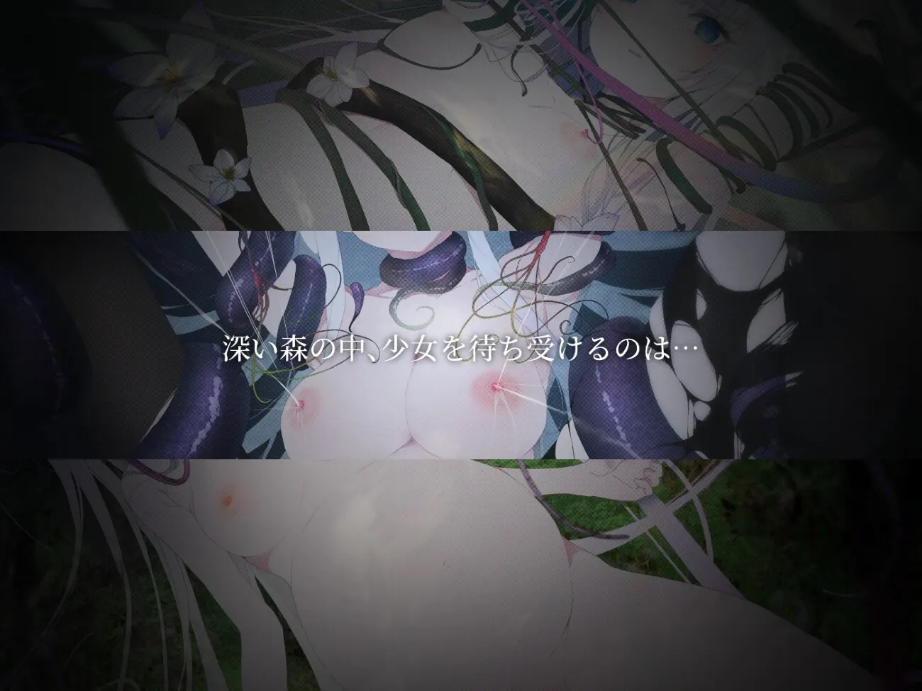 悲剧之森 截图 3