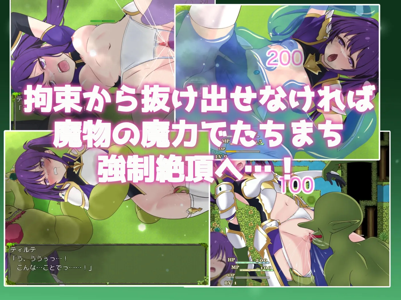 堕落的圣剑姬骑士蒂尔特 截图 3