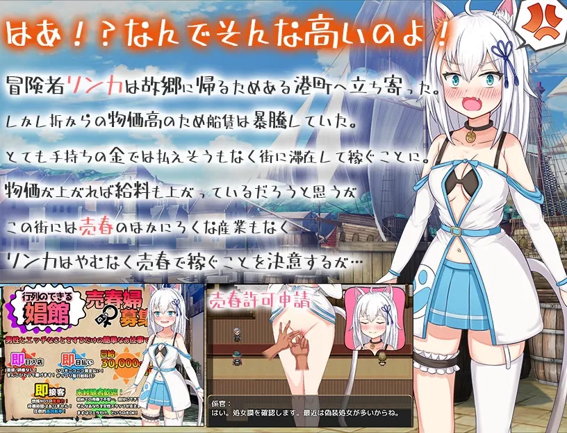 赚钱猫耳娘异世界卖春SLG 截图 2
