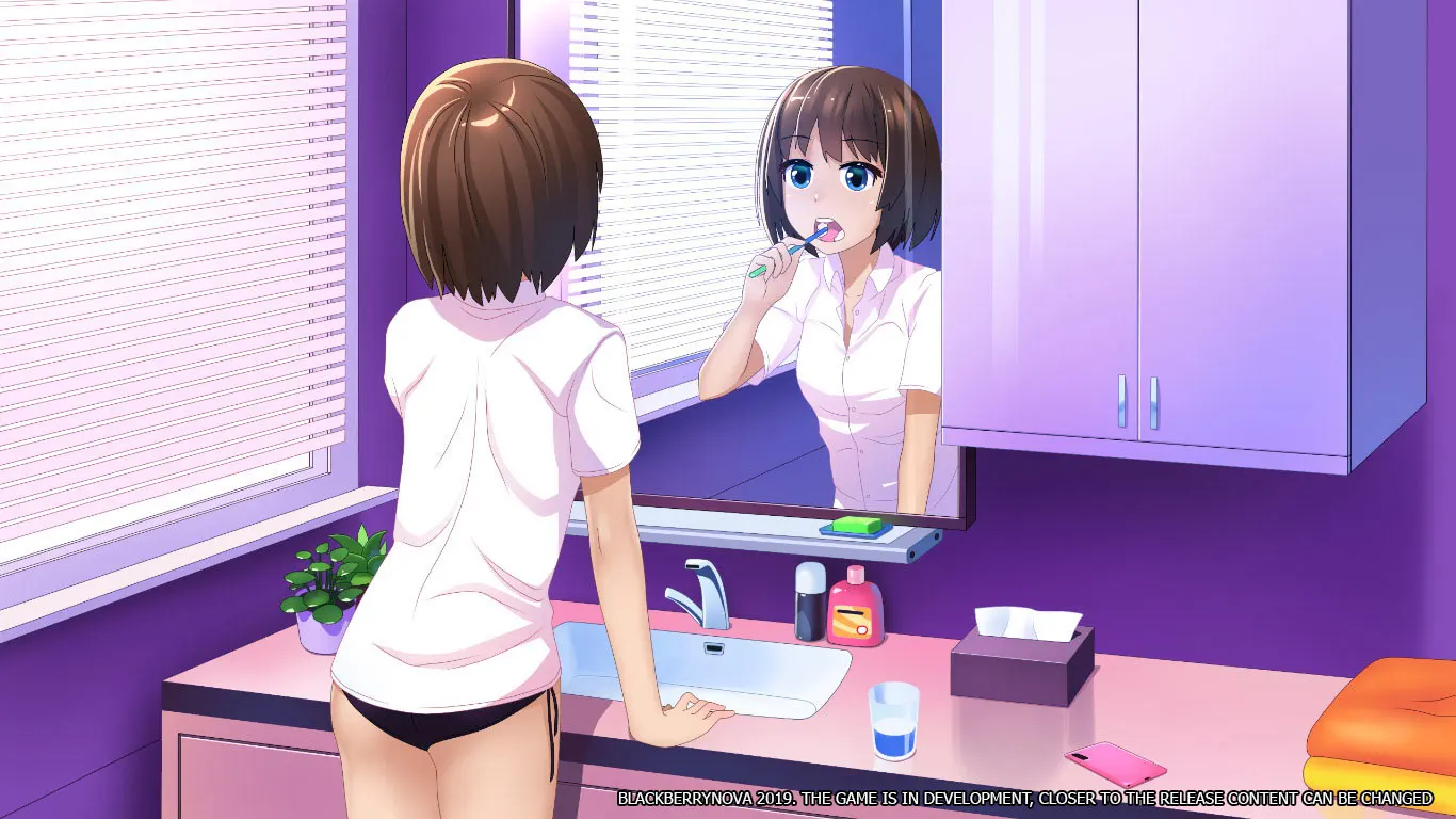 BlackberryNOVA 截图 1