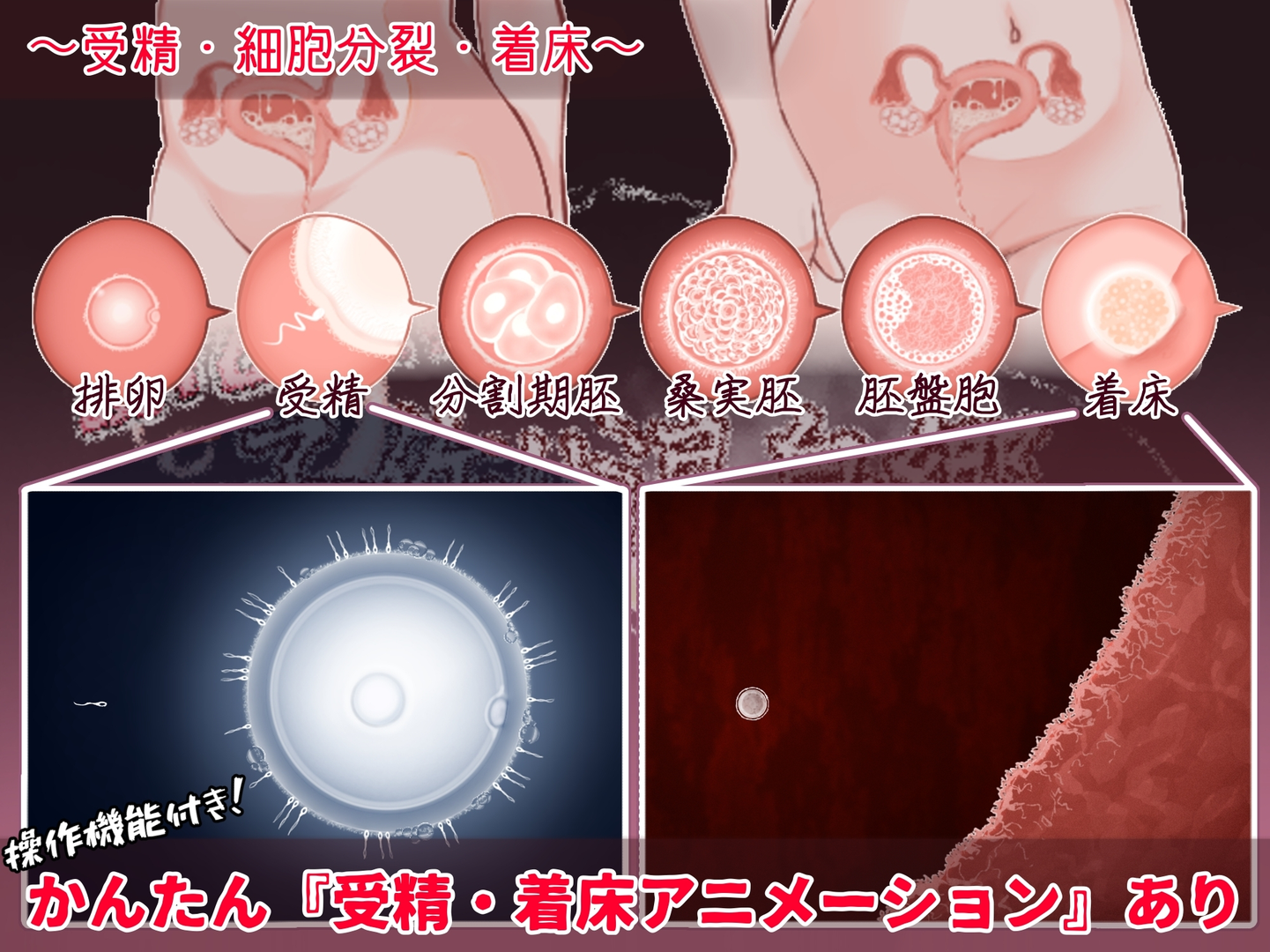 欢迎光临！造子温泉乡 截图 4